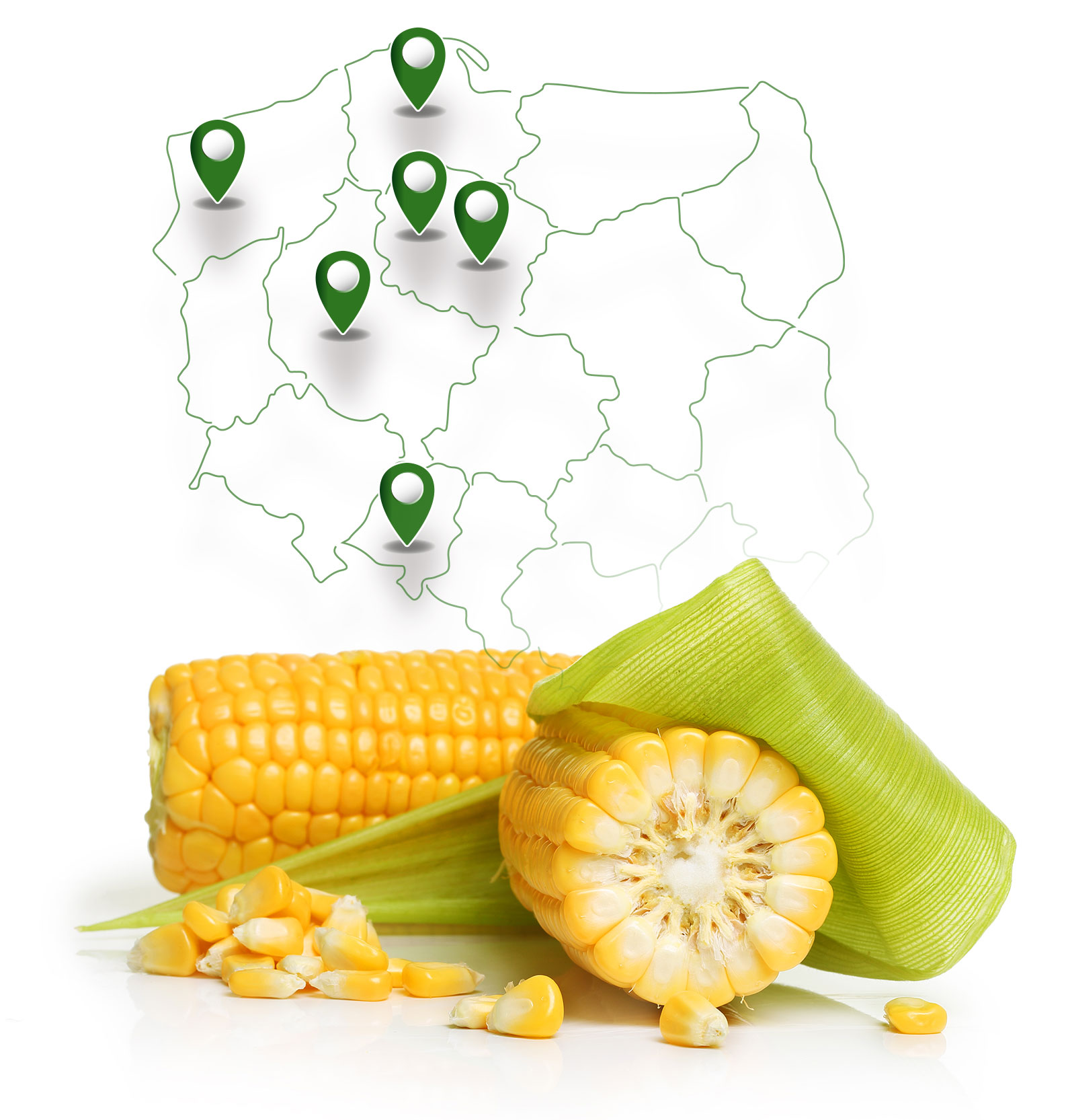 demo farmy kukurydzy