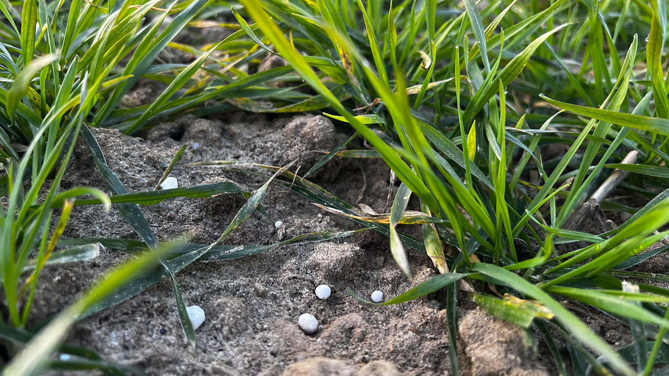 Pierwsze zabiegi polowe na naszych Demo Farmach już trwają!