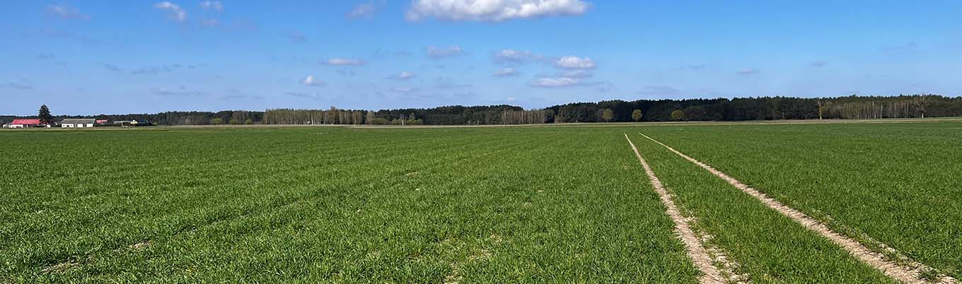 I Wiosenna lustracja zbóż w Nowogrodzie 