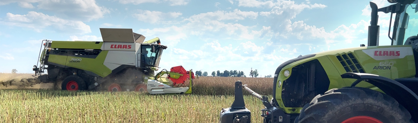 Podsumowanie plonowania rzepaku ozimego na Demo Farmach 2025/2026.