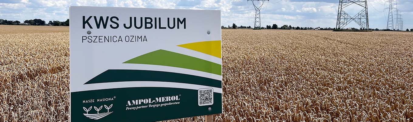 Podsumowanie plonowania zbóż ozimych na Demo Farmach 2025/2026 